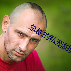 总裁的(的)私宠(寵)甜(甜)妻(妻)