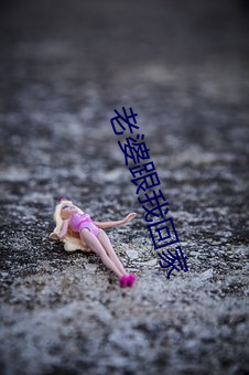 老婆跟我回(回)家