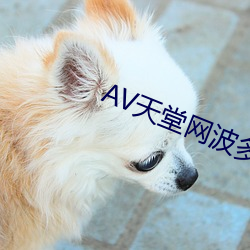 AV天(tiān)堂网波多野(yě)结衣