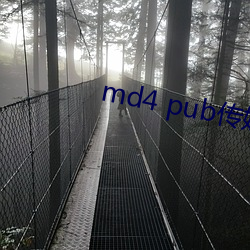 md4 pub传媒(媒)