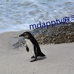 mdapptv麻手(shǒu)机入(rù)口