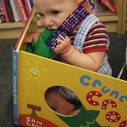 爱情睡醒了(le)全集