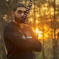 purnhurb下載地址