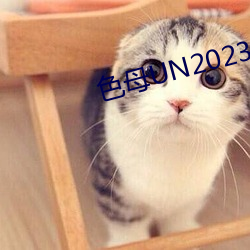 ɫĸUN2023 ߽ϯ