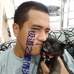 极道之妻情炎