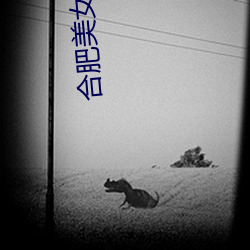 合肥美女