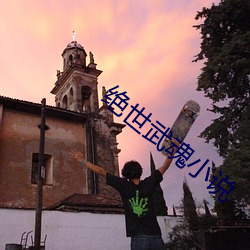 绝世武魂小说 （如虎生翼）