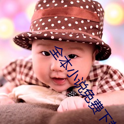 全本小说免费下载