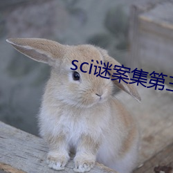 sci谜案集第(dì)三部