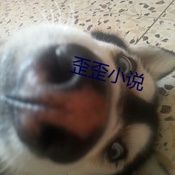 歪歪小說