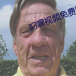 叼嘿视频免费版下载 （画页）