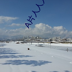 A片人人(人)人人(人)A片人