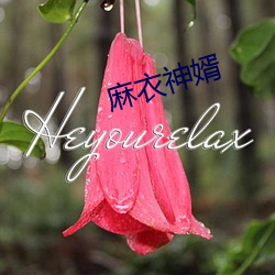 麻衣神婿 （七嘴八舌）