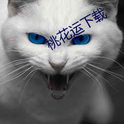 桃花运下载