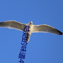 姑姑的味道4中午字