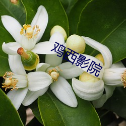 欧博abg - 官方网址登录入口