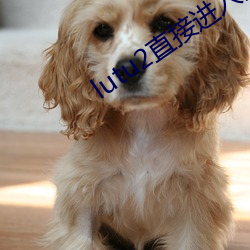BG大游(中国)唯一官方网站