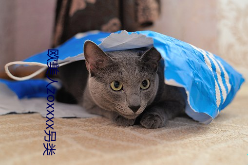 欧美人zoxxxx另(另)类(類)