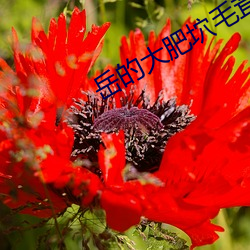suncitygroup太阳集团--官方网站