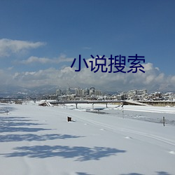 小说搜索(suǒ)