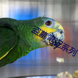 盜墓筆記系列