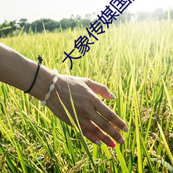 vwinӮ(й) - ٷվ