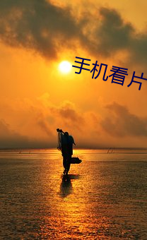 手机看片日韩