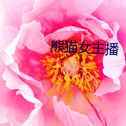 熊猫女主播