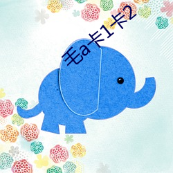 毛a卡1卡2
