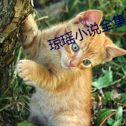 瓊瑤小說全集