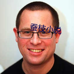蚕枝小说 （房事）