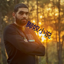 脚奴小说