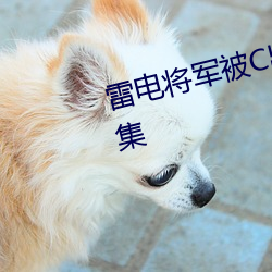 雷电将军被C出液体mh福利本子合集 （因利乘便）