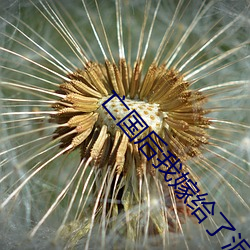 亡国后我(wǒ)嫁给(gěi)了泥腿子