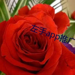 左手app推广(guǎng)二维码