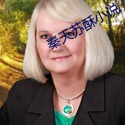 秦天苏酥小说 （豺狼横道）