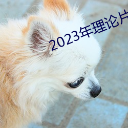 2023年理(lǐ)论片电(diàn)线(xiàn)