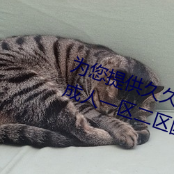 爲您提供久久久久精品免費看國産成人一區二區國産亞洲色婷