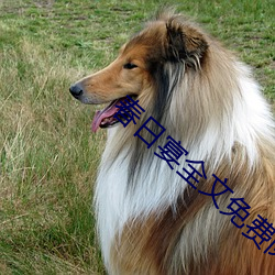 春日宴全文免費閱讀