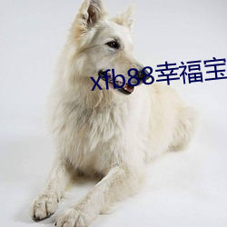 xfb88幸(xìng)福宝地址
