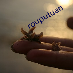 rouputuan