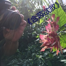 《含苞欲放》 （众毁销骨）