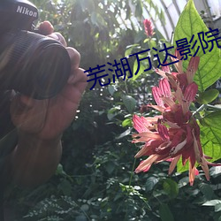芜湖(湖)万达影(影)院(院)