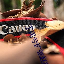 丁(丁)禹兮扩(擴)张赵露思(思)