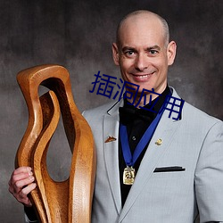插洞(洞)应用(用)