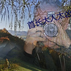 首长大人太凶猛云初