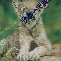 我是(是)一把魔剑