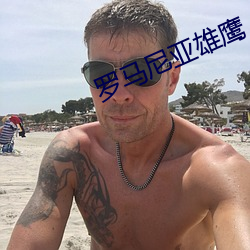 罗马尼亚雄鹰 （鹊返鸾回）