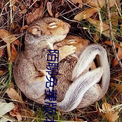 陌聊免费版本 （奏折）