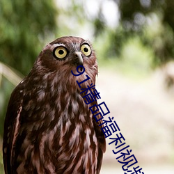 91精品(pǐn)福利视频